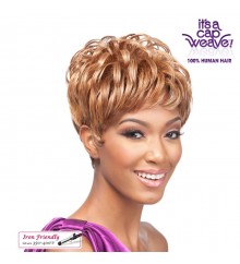 Its a Wig Human Hair Wig - HH DANDRA